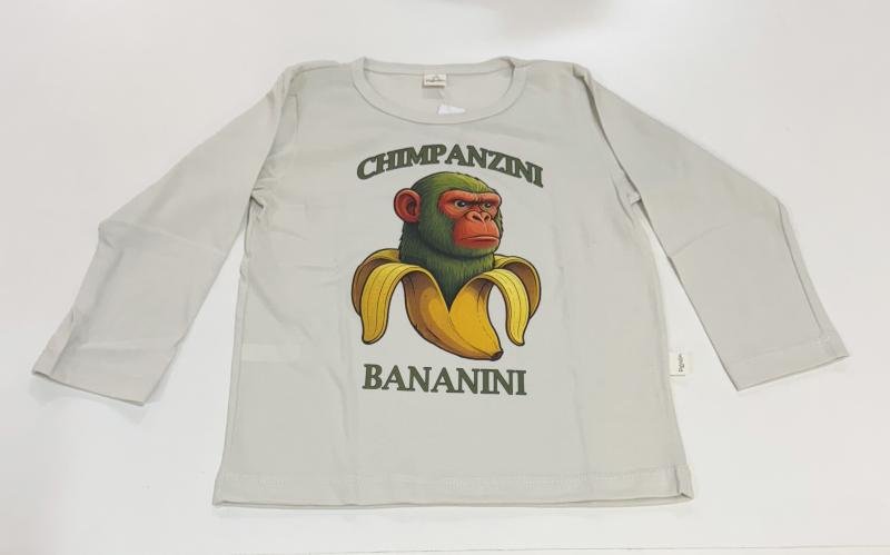 REMERA M/L CHIMPANZINI TALAMPAYA T.4