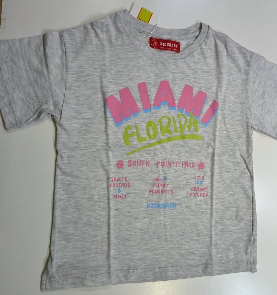 REMERA MIAMI GRIS MELANGE T:02