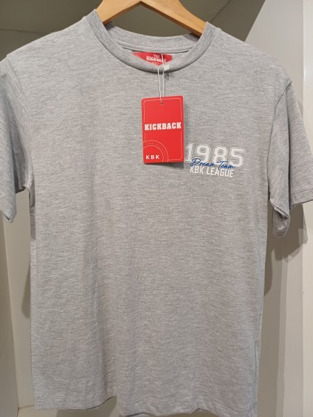 REMERA ENZO MELANGE CLARO T.14
