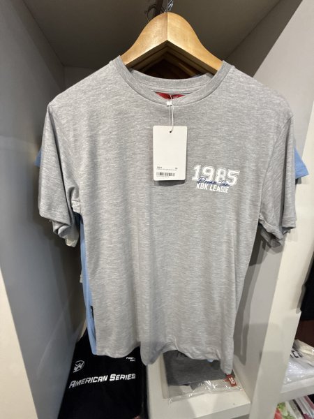 REMERA ENZO MELANGE CLARO T.16